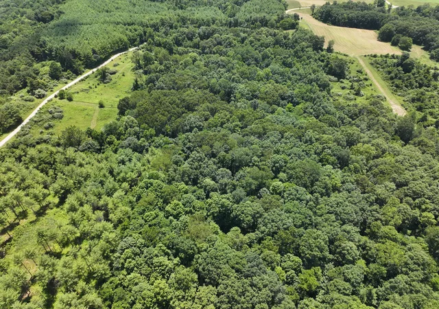 4th image of 0 Tract B Brownrigg Rd, Caldwell, OH 43724 | MLS# 226026946