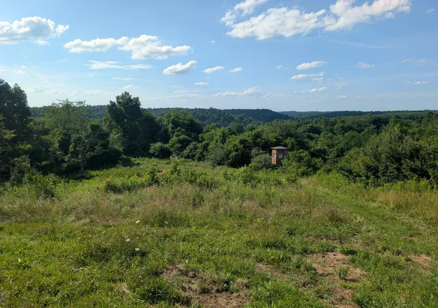 5th image of 5055 Tract C Early Ridge, Mcconnelsville, OH 43756 | MLS# 226026942
