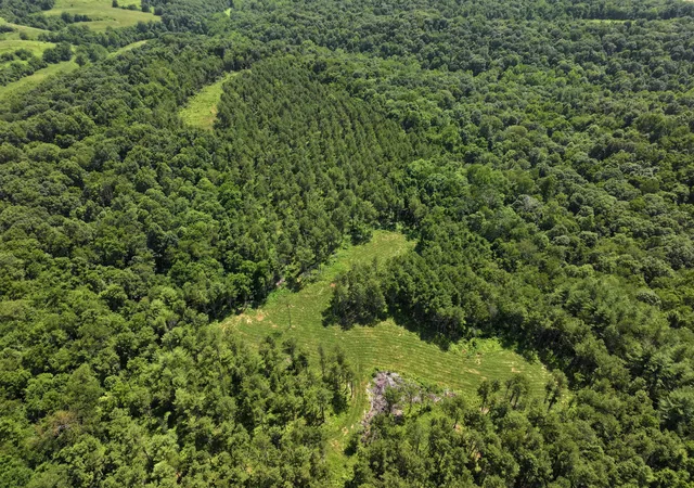 1st image of 0 Tract D E Reinersville Rd, Mcconnelsville, OH 43756 | MLS# 226026944