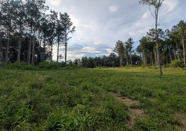2nd image of 0 Tract D E Reinersville Rd, Mcconnelsville, OH 43756 | MLS# 226026944