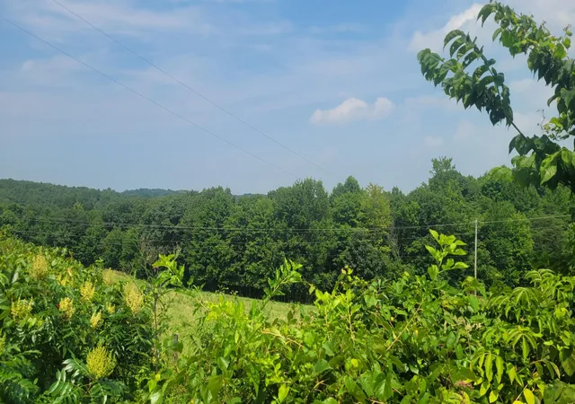 Photo 1 of Sale Pending at 1561 Wickline Rd, Beaver, OH 45613 | MLS# 226027287 | Listing updated on 2026-09-03