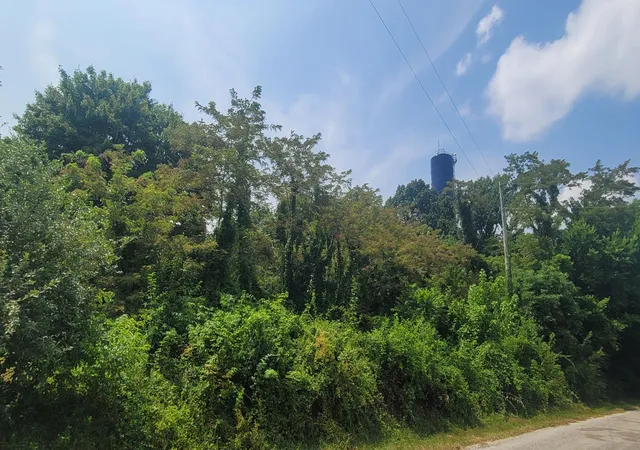 Photo 2 of Sale Pending at 1561 Wickline Rd, Beaver, OH 45613 | MLS# 226027287 | Listing updated on 2026-09-03