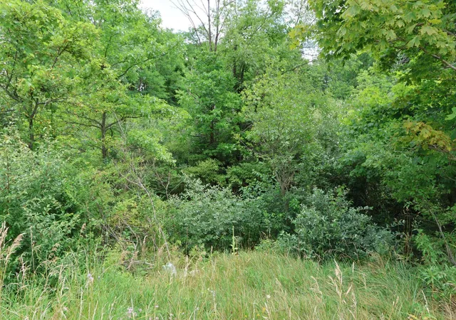 Photo 5 of House for sale at 0 Lantz Rd, Mansfield, OH 44906 | MLS# 226027970 | Listing updated on 2026-09-04