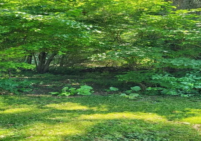 Photo 3 of Land for sale at 53 Williams St, Lockbourne, OH 43137 | MLS# 226027479 | Listing updated on 2026-08-25