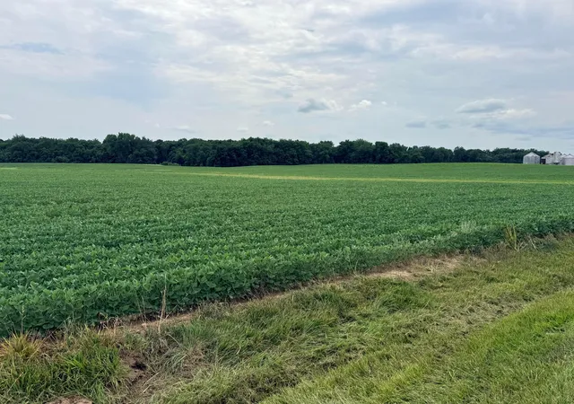 image of 15603 State Route 47, Richwood, OH 43344 | MLS# 226027967