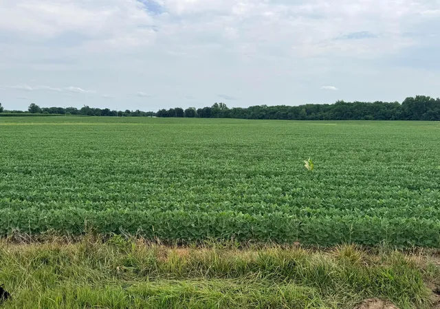 image of 15603 State Route 47, Richwood, OH 43344 | MLS# 226027967