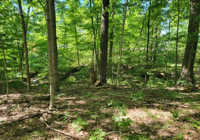 Photo 3 of Land for sale at 6152 Jaycox Rd, Galena, OH 43021 | MLS# 226027602 | Listing updated on 2026-07-29