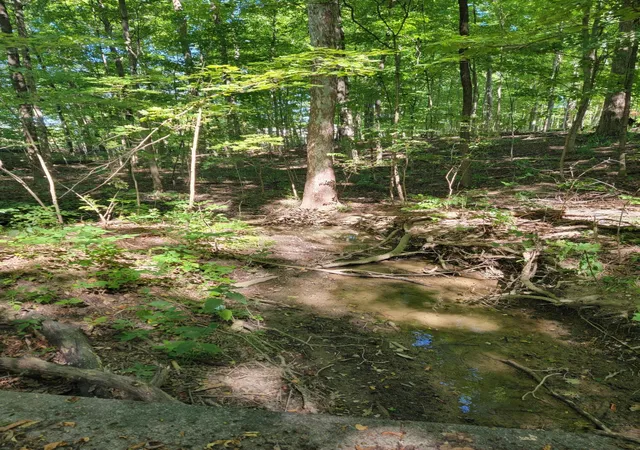 Photo 3 of Land for sale at 6152 Jaycox Rd, Galena, OH 43021 | MLS# 226027602 | Listing updated on 2026-07-29