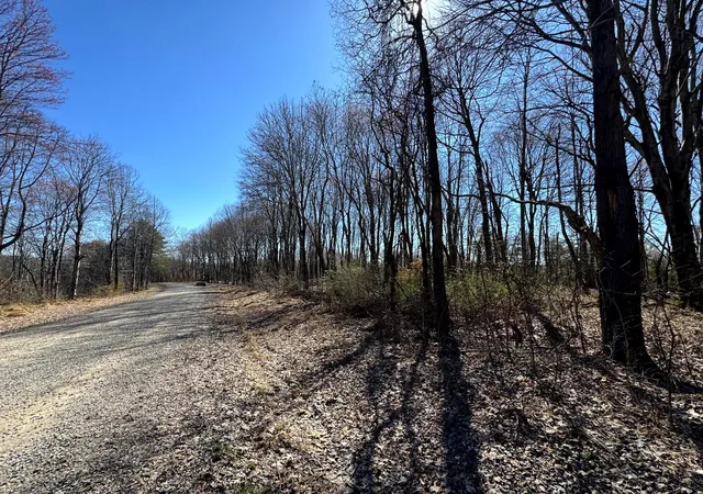 Photo 19 of Land for sale at 1031 Poplar Ridge Rd, Gallipolis, OH 45631 | MLS# 226027748 | Listing updated on 2026-07-29
