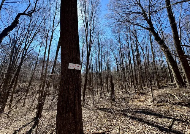 Photo 2 of Land for sale at 1031 Poplar Ridge Rd, Gallipolis, OH 45631 | MLS# 226027748 | Listing updated on 2026-07-29