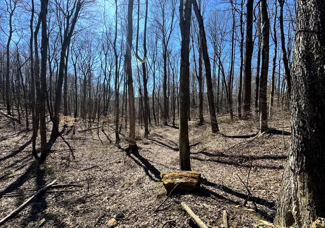 Photo 3 of Land for sale at 1031 Poplar Ridge Rd, Gallipolis, OH 45631 | MLS# 226027748 | Listing updated on 2026-07-29