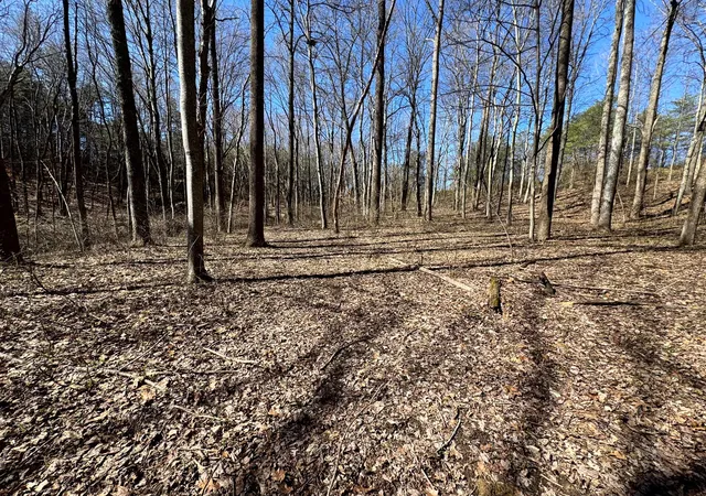 Photo 4 of Land for sale at 1031 Poplar Ridge Rd, Gallipolis, OH 45631 | MLS# 226027748 | Listing updated on 2026-07-29