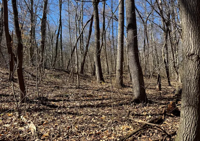 Photo 5 of Land for sale at 1031 Poplar Ridge Rd, Gallipolis, OH 45631 | MLS# 226027748 | Listing updated on 2026-07-29