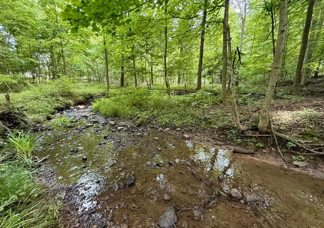 3rd image of 12761 Old Mansfield Rd, Mount Vernon, OH 43050 | MLS# 226027797