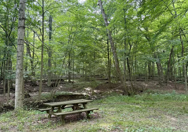 4th image of 12761 Old Mansfield Rd, Mount Vernon, OH 43050 | MLS# 226027797