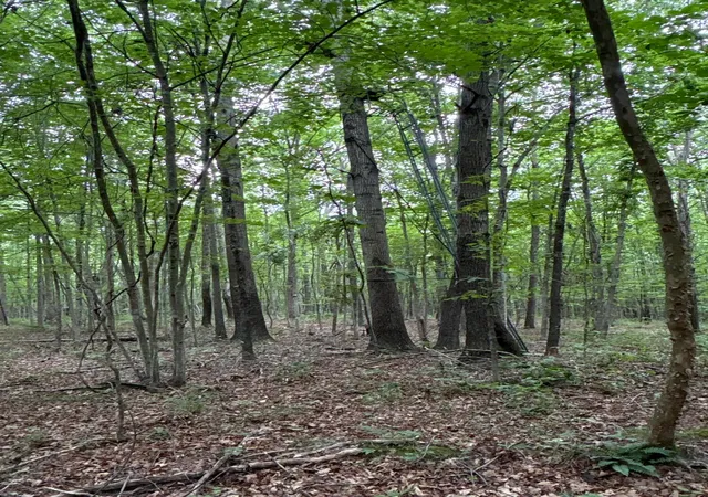 16th image of 0 Township Road 532, Oak Hill, OH 45656 | MLS# 226028023