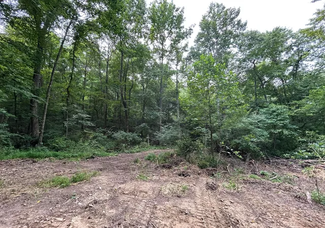 Photo 3 of Land for sale at 0 Staats Rd, Howard, OH 43028 | MLS# 226029894 | Listing updated on 2026-08-07