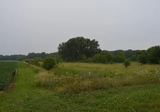Photo 1 of Land for sale at 0 County Rd 23, Archbold, OH 43502 | MLS# 226028690 | Listing updated on 2026-08-30