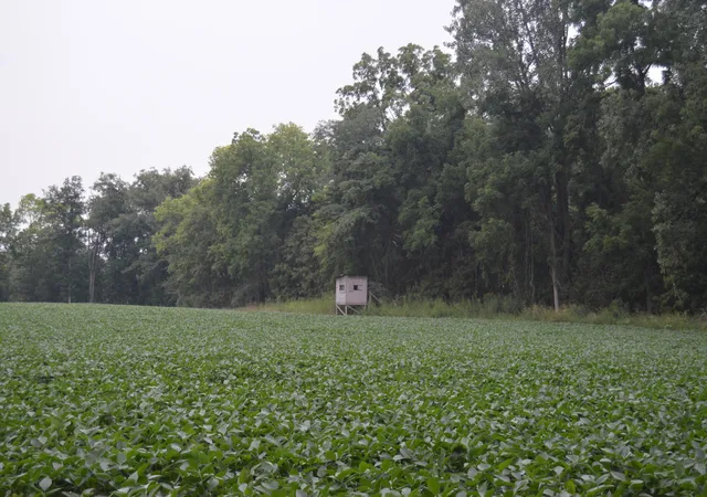 Photo 2 of Land for sale at 0 County Rd 23, Archbold, OH 43502 | MLS# 226028690 | Listing updated on 2026-08-30