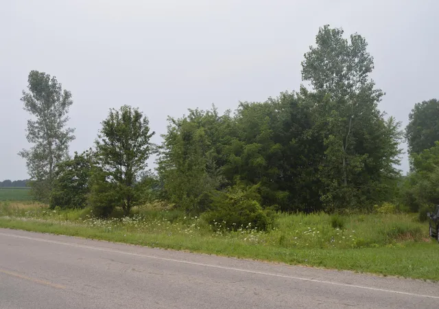 Photo 4 of Land for sale at 0 County Rd 23, Archbold, OH 43502 | MLS# 226028690 | Listing updated on 2026-08-30