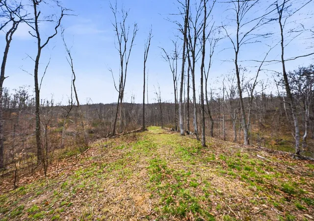 3rd image of 0 State Route 13 Se, Corning, OH 43730 | MLS# 226029662