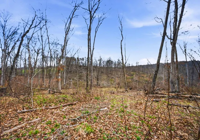 Photo 2 of Land for sale at 0 State Route 13 Se, Corning, OH 43730 | MLS# 226029658 | Listing updated on 2026-08-14