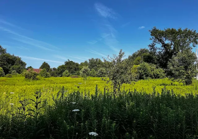 Photo 1 of Land for sale at 0 Mcmanis Rd, Mount Vernon, OH 43050 | MLS# 226028920 | Listing updated on 2026-08-06