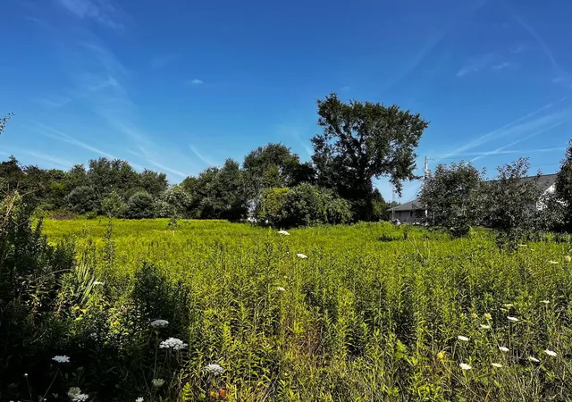Photo 3 of Land for sale at 0 Mcmanis Rd, Mount Vernon, OH 43050 | MLS# 226028920 | Listing updated on 2026-08-06