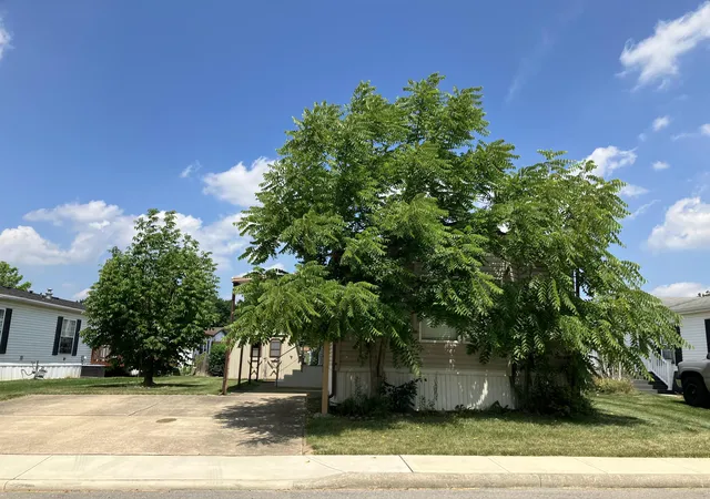 15th image of 46 Birch Row Dr, Delaware, OH 43015 | MLS# 226029159