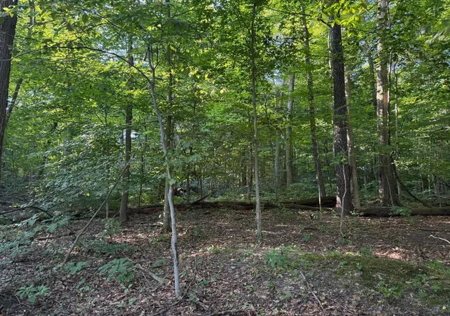 4th image of 355 Green Hollow Dr Sw, Pataskala, OH 43062 | MLS# 226029788
