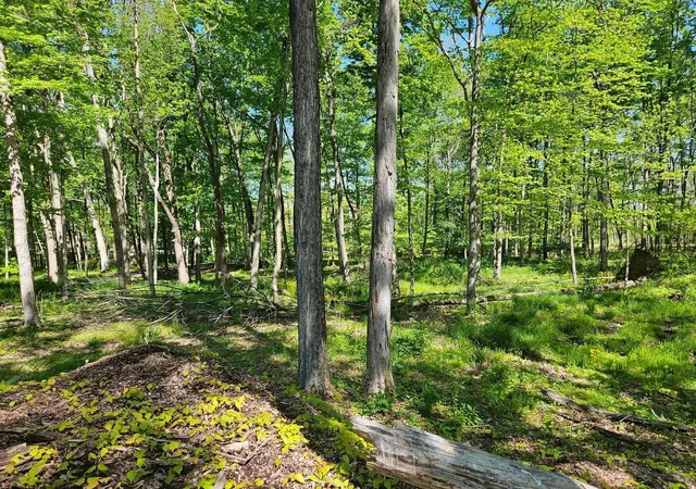 4th image of 4360 Sunbury Rd, Galena, OH 43021 | MLS# 226029334