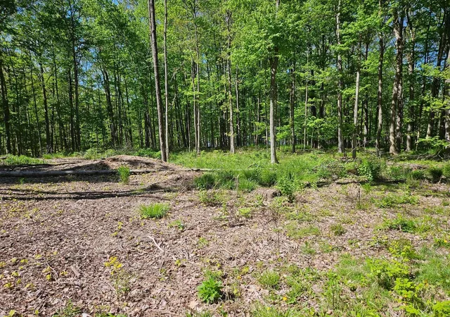 5th image of 4360 Sunbury Rd, Galena, OH 43021 | MLS# 226029334