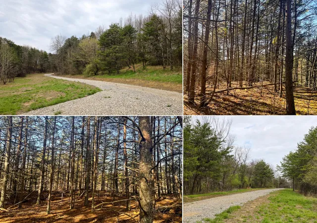 Photo 1 of Land for sale at 780 Nibert Rd, Gallipolis, OH 45631 | MLS# 226029253 | Listing updated on 2026-08-03