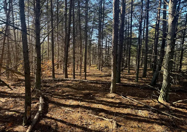 Photo 2 of Land for sale at 780 Nibert Rd, Gallipolis, OH 45631 | MLS# 226029253 | Listing updated on 2026-08-03