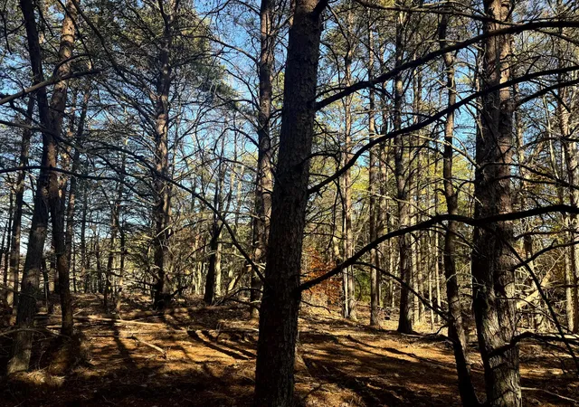 Photo 3 of Land for sale at 780 Nibert Rd, Gallipolis, OH 45631 | MLS# 226029253 | Listing updated on 2026-08-03