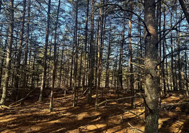 Photo 4 of Land for sale at 780 Nibert Rd, Gallipolis, OH 45631 | MLS# 226029253 | Listing updated on 2026-08-03