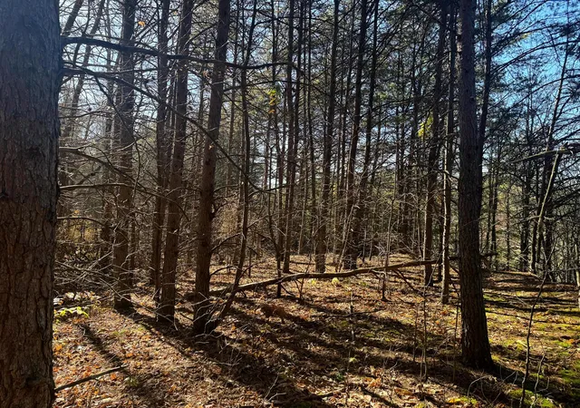 Photo 5 of Land for sale at 780 Nibert Rd, Gallipolis, OH 45631 | MLS# 226029253 | Listing updated on 2026-08-03