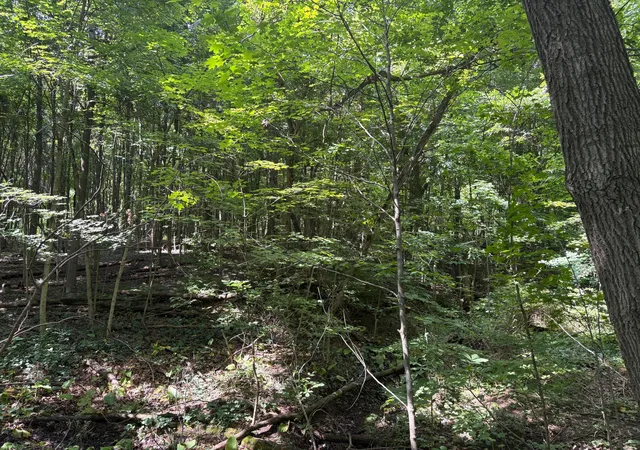 2nd image of 3645 Township Rd 161, Marengo, OH 43334 | MLS# 226029343