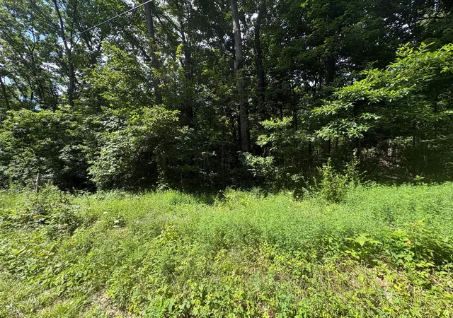 Photo 3 of Land for sale at 3645 Township Rd 161, Marengo, OH 43334 | MLS# 226029343 | Listing updated on 2026-09-16