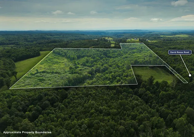 Photo 1 of Land for sale at 0 David Reese Rd, Oak Hill, OH 45656 | MLS# 226029568 | Listing updated on 2026-08-06