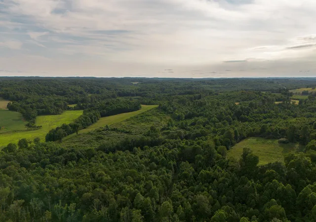 Photo 3 of Land for sale at 0 David Reese Rd, Oak Hill, OH 45656 | MLS# 226029568 | Listing updated on 2026-08-06