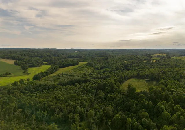 Photo 4 of Land for sale at 0 David Reese Rd, Oak Hill, OH 45656 | MLS# 226029568 | Listing updated on 2026-08-06