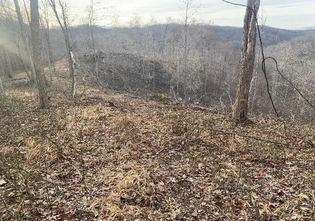 Photo 3 of Land for sale at 1308 Carrs Run Rd, Waverly, OH 45690 | MLS# 226029917 | Listing updated on 2026-08-07