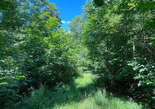 41st image of 320 Brumfield Rd, Crown City, OH 45623 | MLS# 226029963