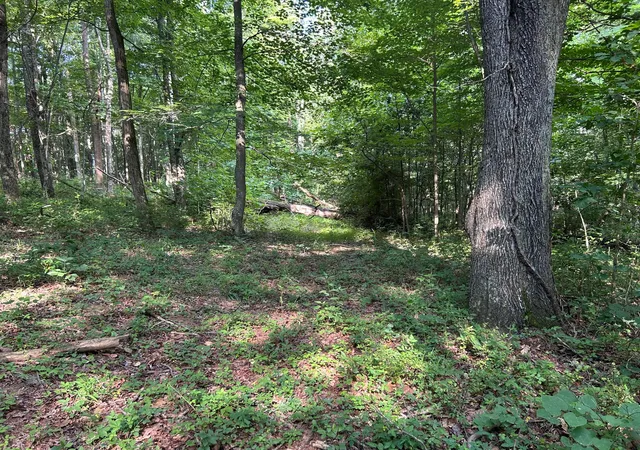 Photo 3 of Land for sale at 6741 Big Spruce Little Bear Rd, Otway, OH 45657 | MLS# 226029984 | Listing updated on 2026-08-10