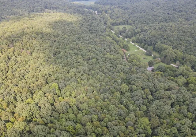 43rd image of 6741 Big Spruce Little Bear Rd, Otway, OH 45657 | MLS# 226029984