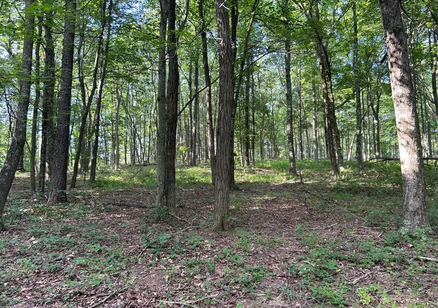 Photo 3 of Land for sale at 6741 Big Spruce Little Bear Rd, Otway, OH 45657 | MLS# 226029984 | Listing updated on 2026-08-10