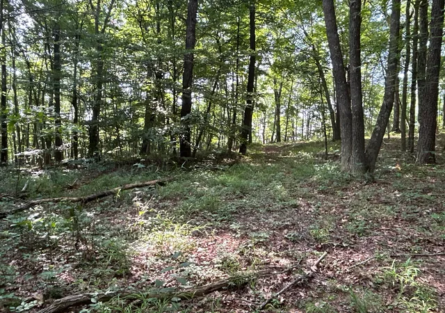 Photo 4 of Land for sale at 6741 Big Spruce Little Bear Rd, Otway, OH 45657 | MLS# 226029984 | Listing updated on 2026-08-10