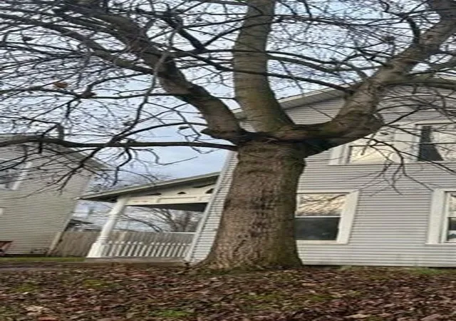 Listing Photo 4 - Condo for sale in building located at 409 Mead St, Zanesville, OH 43701 - Unit #409/409 1/2
