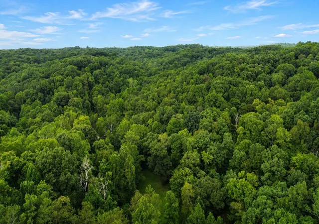 Photo 5 of Land for sale at 0 Rocky Frk Rd #0, Rockbridge, OH 43149 | MLS# 226030201 | Listing updated on 2026-08-10